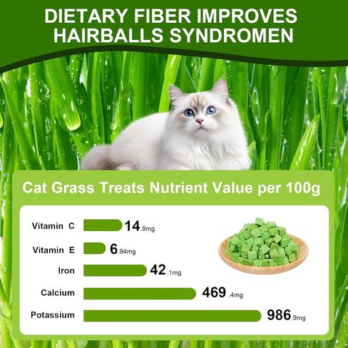100g Freeze-Dried Cat Grass Treats, Natural Hairball Treatment for Cats, Edible Cats Chew Toy Cat Treats Snack for Teething Cleaning Hairball Removal in Saudi Arabia