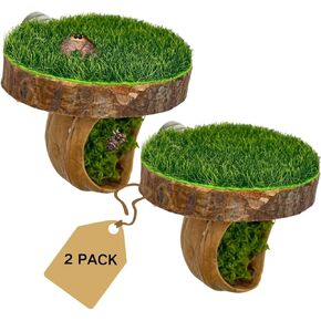 Jumping Spider Hide with Platform – Natural Materials Magnetic Perch for Jumping Spider Enclosure, Side-Mount Ledge for Small Spiders Terrarium in Saudi Arabia