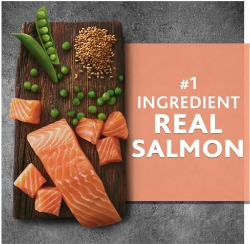 Pure~Balance Wild & Free Salmon & Pea Recipe Dry Dog Food, Grain~Free, Natural Nutrition for All Dog Life Stages, No Fillers or Artificial Preservatives, Supports Healthy Coat & More ~ (11 Lbs). in Saudi Arabia