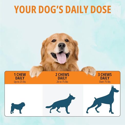 2PK - NOVEHA Eye Supplement for Dogs - Vision Support with Lutein + Vitamin C & Astaxanthin Antioxidants - Dog Vitamins for Eyes + Fish Oil for Omega 3 EPA - 90 Soft Chews in Kuwait