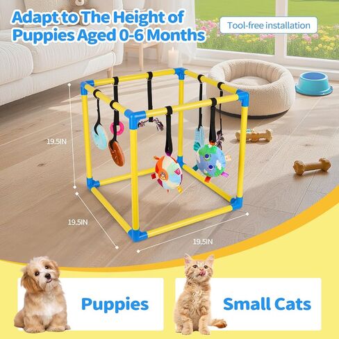 صالة ألعاب Liitrton Puppy Play Gym - صالة ألعاب رياضية للكلاب الصغيرة مع 8 ألعاب معلقة، صالة ألعاب رياضية داخلية للجراء في الغابة مع ألعاب تفاعلية لإثراء الكلاب، إطار PVC مقاس 19.5 بوصة × 19.5 بوصة × 19.5 بوصة in Kuwait