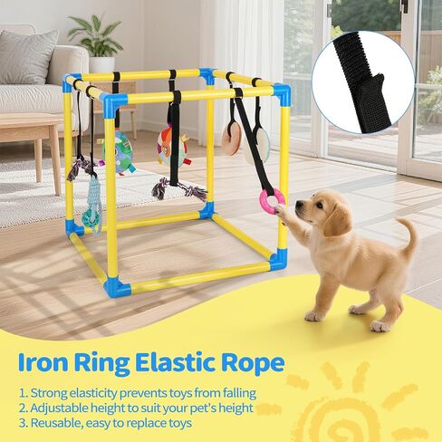 صالة ألعاب Liitrton Puppy Play Gym - صالة ألعاب رياضية للكلاب الصغيرة مع 8 ألعاب معلقة، صالة ألعاب رياضية داخلية للجراء في الغابة مع ألعاب تفاعلية لإثراء الكلاب، إطار PVC مقاس 19.5 بوصة × 19.5 بوصة × 19.5 بوصة in Kuwait
