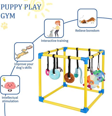 صالة ألعاب Liitrton Puppy Play Gym - صالة ألعاب رياضية للكلاب الصغيرة مع 8 ألعاب معلقة، صالة ألعاب رياضية داخلية للجراء في الغابة مع ألعاب تفاعلية لإثراء الكلاب، إطار PVC مقاس 19.5 بوصة × 19.5 بوصة × 19.5 بوصة in Kuwait