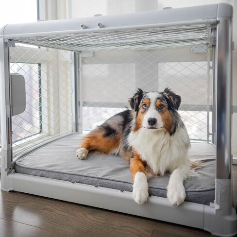 سرير الكلاب ذو الإسفنج الذكي من Diggs Snooz - وسادة قفص ريفول للكلاب بحجم مثالي - سرير ممتاز لتقويم العظام للحيوانات الأليفة للقفص أو المنزل - رمادي، صغير in Kuwait