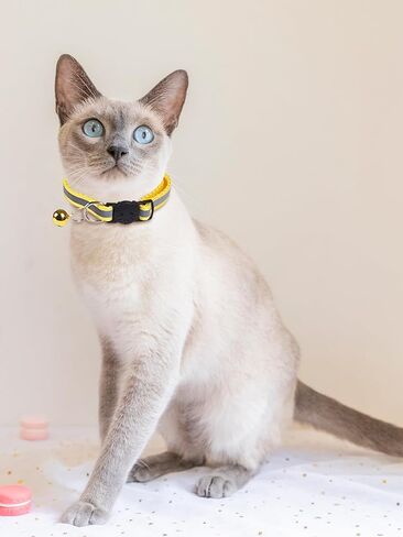 6 Pack Breakaway Cat Collar with Bells, Safe & Reflective, Sturdy Removable Safety Buckle, Cute Cat Design, Adjustable Pet Collar for Cats in Saudi Arabia