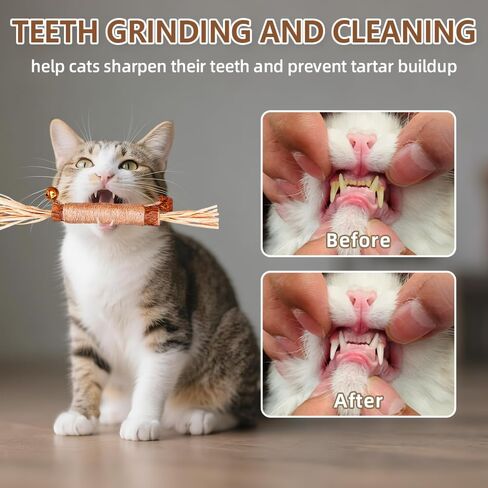 Natural Dried Matatabi Cat Chew Stick with Gall Fruit, Raffia Grass & Bell Cat Ball Toys, Handmade Silvervine Sticks Interactive Catnip Toy for Teething & Entertainment (Size M Color A) in Saudi Arabia