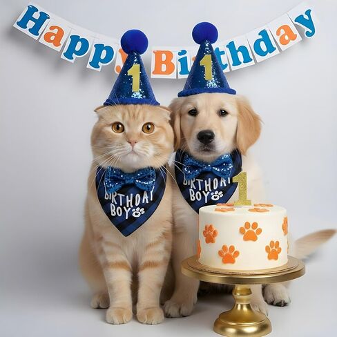 Xindojuz 1 Set Cat Birthday Hat Decorations, Adjustable Cat Birthday Hat with Number Bow Tie Bandana Collar for Cats Dogs Pet Kittens Apparel Christmas Party Outfits Supplies (Blue) in Kuwait