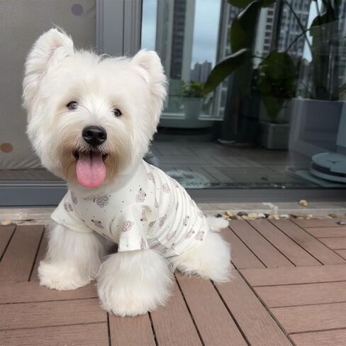 Cute Dog Shirt, Stretchy Dino Doggie T-Shirt Clothes for Small Dogs, Soft Pet Tee Outfit Cat Apparel for Daily Wear, Cozy Pullover Design Puppy Apperal (Doggie, Medium Size for 5.5-8.5lb Pets) in Saudi Arabia