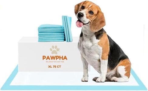 UltraCare Superabsorbent Leak Proof Odor Free Pet Friendly Puppy Pads, Best Potty-Training Disposable Pads, Gentle on Paws Pads XXL 100 XX Large 30x36 100 Count in Saudi Arabia