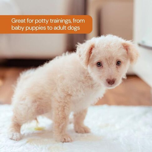 UltraCare Superabsorbent Leak Proof Odor Free Pet Friendly Puppy Pads, Best Potty-Training Disposable Pads, Gentle on Paws Pads XXL 100 XX Large 30x36 100 Count in Saudi Arabia