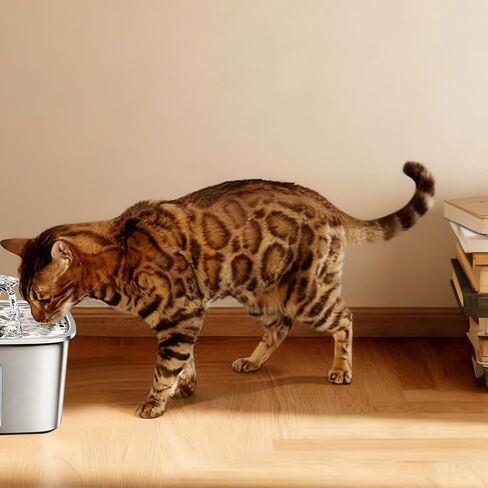 مضخة نافورة مياه للقطط لفيكن 50 أونصة، نافورة 95 أونصة، مضخة فائقة الهدوء مع كابل USB، ضوء LED و6 عبوات من مرشحات نافورة الحيوانات الأليفة in Kuwait