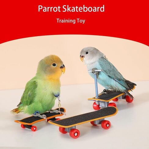 2Pcs Bird Skateboard，Bird Toys for Parrot，for Bird Training Toys (Small) in Kuwait