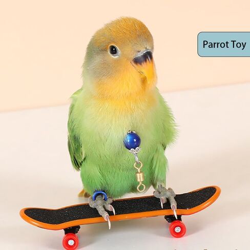2Pcs Bird Skateboard，Bird Toys for Parrot，for Bird Training Toys (Small) in Kuwait
