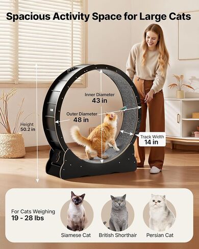 VEVOR Cat Exercise Wheel, 48 in Wooden Cat Running Wheel for Indoor Cats up to 28 lbs, Cats Treadmill with Carpeted Runway & Locking Mechanism, Quiet Kitten Sport Toys for Pets Fitness & Health, Black in Kuwait