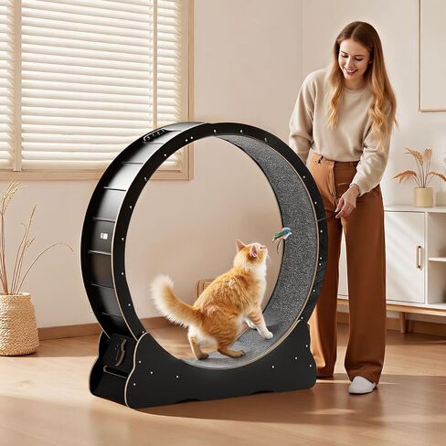 VEVOR Cat Exercise Wheel, 48 in Wooden Cat Running Wheel for Indoor Cats up to 28 lbs, Cats Treadmill with Carpeted Runway & Locking Mechanism, Quiet Kitten Sport Toys for Pets Fitness & Health, Black in Kuwait
