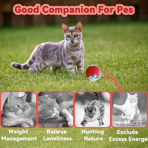 Christmas Stocking Stuffer Speedy 2.0 Tail Interactive Cat Toys for Indoor Cats, Automatic Cat Toy with Elastic Mesh Tail, Electric Rolling Ball on Carpet, Chirping and Motion Activate Cat in Saudi Arabia