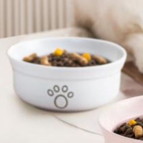 Ceramic Dog Bowls, Pet Feeding Bowls for Cats and Small Dogs 20 oz (6", Blue/Pink/White) in Saudi Arabia