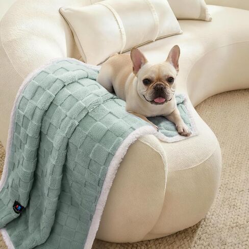 Luciphia Waterproof Dog Blanket for Small Dogs Washable Soft Sherpa Fleece Cat Blankets with 3D Jacquard Cozy Calming Reversible Couch Protector Furniture Protection for Pet, Green White, 40x28 inch in Kuwait