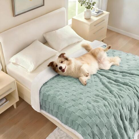 Luciphia Waterproof Dog Blanket for Small Dogs Washable Soft Sherpa Fleece Cat Blankets with 3D Jacquard Cozy Calming Reversible Couch Protector Furniture Protection for Pet, Green White, 40x28 inch in Kuwait
