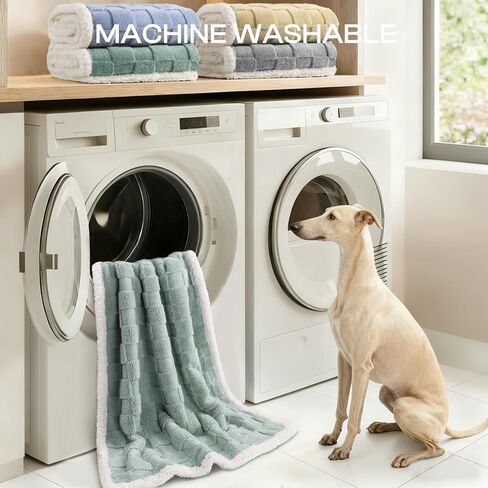 Luciphia Waterproof Dog Blanket for Small Dogs Washable Soft Sherpa Fleece Cat Blankets with 3D Jacquard Cozy Calming Reversible Couch Protector Furniture Protection for Pet, Green White, 40x28 inch in Kuwait