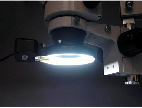 AmScope FRL12 12W Microscope Fluorescent Ring Light in Saudi Arabia