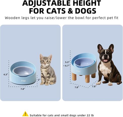MS!MAKE SURE Cat Bowls, Adjustable Elevated Ceramic Cat Bowls with Anti-Slip Rubber Pad, Splash Guard, Lead & Cadmium Free, Whisker Friendly, for Puppies & Cats - 5.1" Wide, 295ML (10 oz), Green in Saudi Arabia