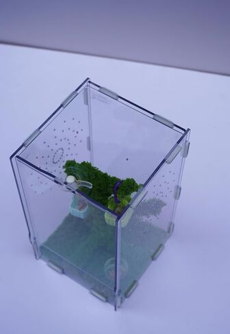 Jumping Spider Enclosure, Terrarium Accessories Knit in Kuwait