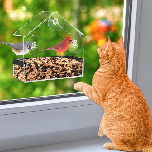 Window Bird Feeder for Cats - Clear Bird Feeder Window for Viewing with Strong Suction Cup, Interactive Cat Toys for Entertaining Watching Indoor Gifts, S in Saudi Arabia