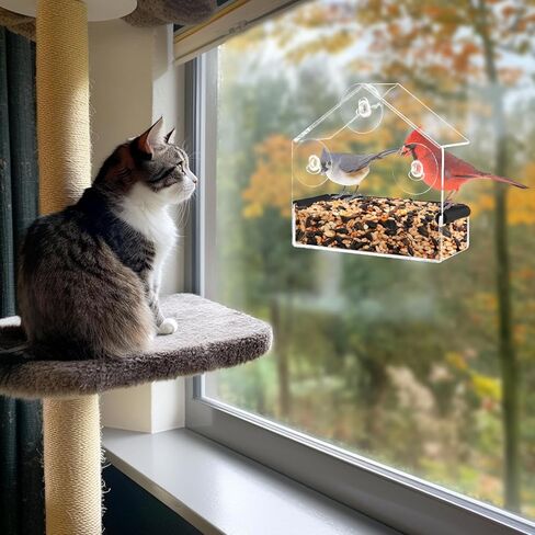 Window Bird Feeder for Cats - Clear Bird Feeder Window for Viewing with Strong Suction Cup, Interactive Cat Toys for Entertaining Watching Indoor Gifts, S in Saudi Arabia