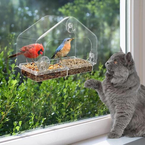 Window Bird Feeder for Cats - Clear Bird Feeder Window for Viewing with Strong Suction Cup, Interactive Cat Toys for Entertaining Watching Indoor Gifts, S in Saudi Arabia