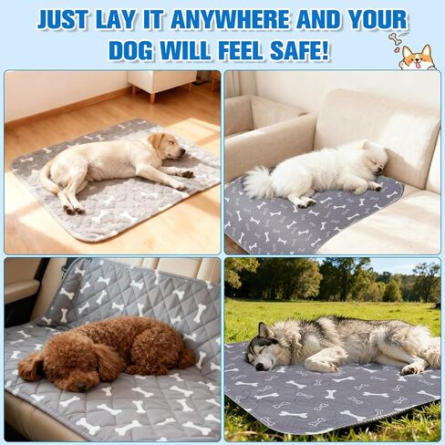 PuppyPads for Dogs,2026 Upgraded Washable Puppy Pad with Pheromones,Reusable Puppy Training Pet Pads with 4-Layer Leak Protection, Leak & Odor Proof, Non-Slip Base, Easy to Clean(Grey, M) in Saudi Arabia