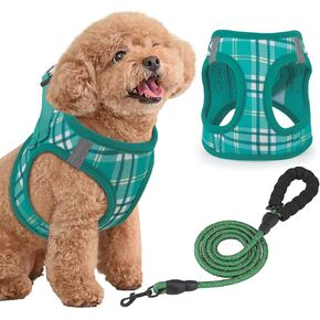 مجموعة حزام ومقود للكلاب الكبيرة جدًا من ماجشيون، مقود عالي التحمل بطول 5 أقدام، سترة مبطنة للحيوانات الأليفة مع شريط فيلكرو قابل للتعديل وشرائط عاكسة للمشي والجري والتدريب في الليل، بيج، مقاس XL in Kuwait