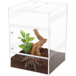 حاوية العنكبوت القافز - صندوق أكريليك مع باب أمامي وعلوي، أكريليك قوي 5 مم و3 مم، حاوية عنكبوتية وعناكب، حاوية فرس النبي، موطن الفراشة، خزان سرطان البحر الناسك لجميع المتحمسين in Kuwait