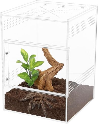 حاوية العنكبوت القافز - صندوق أكريليك مع باب أمامي وعلوي، أكريليك قوي 5 مم و3 مم، حاوية عنكبوتية وعناكب، حاوية فرس النبي، موطن الفراشة، خزان سرطان البحر الناسك لجميع المتحمسين in Kuwait