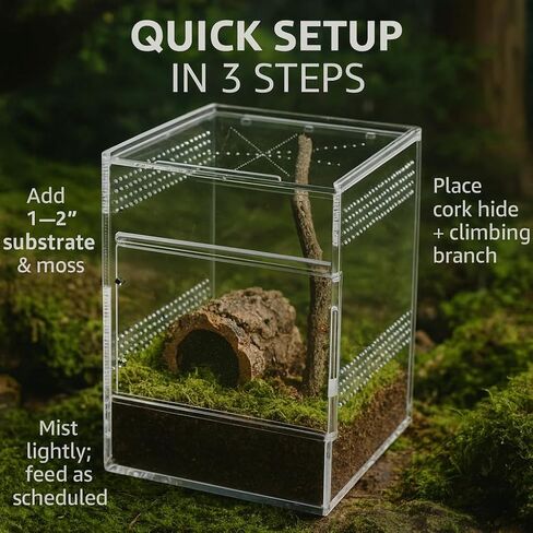 حاوية العنكبوت القافز - صندوق أكريليك مع باب أمامي وعلوي، أكريليك قوي 5 مم و3 مم، حاوية عنكبوتية وعناكب، حاوية فرس النبي، موطن الفراشة، خزان سرطان البحر الناسك لجميع المتحمسين in Kuwait