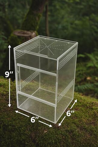 حاوية العنكبوت القافز - صندوق أكريليك مع باب أمامي وعلوي، أكريليك قوي 5 مم و3 مم، حاوية عنكبوتية وعناكب، حاوية فرس النبي، موطن الفراشة، خزان سرطان البحر الناسك لجميع المتحمسين in Kuwait