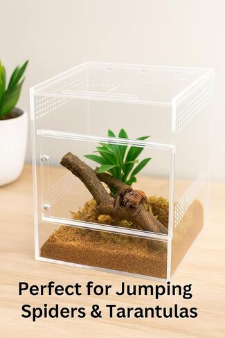 حاوية العنكبوت القافز - صندوق أكريليك مع باب أمامي وعلوي، أكريليك قوي 5 مم و3 مم، حاوية عنكبوتية وعناكب، حاوية فرس النبي، موطن الفراشة، خزان سرطان البحر الناسك لجميع المتحمسين in Kuwait
