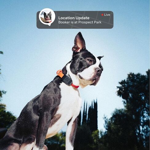 جهاز تتبع Fi Mini GPS للكلاب والقطط - خفيف الوزن، أسوار افتراضية، تنبيهات الهروب، تتبع الخطوات والصحة، مقاوم للماء - يتضمن عضوية لمدة 6 أشهر in Kuwait