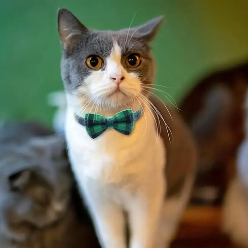 Cute Checkered Pattern Cat Collar with Bow - Adjustable & Comfortable Pet Collar, Perfect for Cats and Other Small Pets, Green in Saudi Arabia