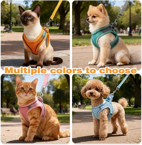 Cat Harness and Leash Set - Adjustable Soft Vest, Reflective Step-in Design for Safe Walking (XXS, Orange/Blue) in Saudi Arabia