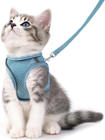 Cat Harness and Leash Set - Adjustable Soft Vest, Reflective Step-in Design for Safe Walking (XXS, Orange/Blue) in Saudi Arabia