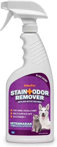 OdorPet Pet Stain Remover and Odor Eliminator - 64 Oz (Makes 2.55 Gallons of Working Solution) Non Staining, Professional Strength, Lavender Scent by Alpha Tech Pet in Saudi Arabia