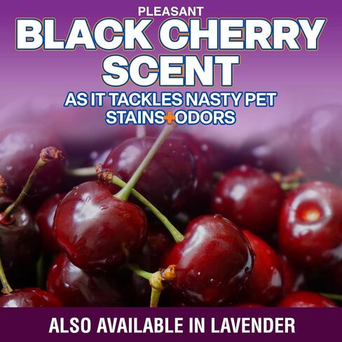 OdorPet Pet Stain Remover and Odor Eliminator - 64 Oz (Makes 2.55 Gallons of Working Solution) Non Staining, Professional Strength, Lavender Scent by Alpha Tech Pet in Saudi Arabia