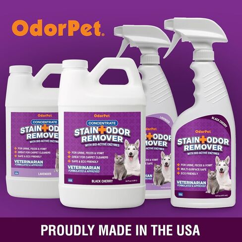 OdorPet Pet Stain Remover and Odor Eliminator - 64 Oz (Makes 2.55 Gallons of Working Solution) Non Staining, Professional Strength, Lavender Scent by Alpha Tech Pet in Saudi Arabia