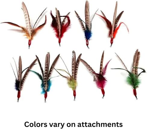 GoCat Da Bird Rod and Feather Cat Toy, Handmade in The USA (1 Bird) in Saudi Arabia