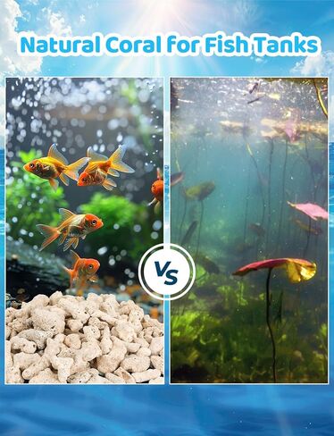 1.2 رطل/550 جرام مرجاني مطحون لأحواض المياه العذبة، حجر مرجاني طبيعي لوسائط تصفية حوض السمك مع حقيبة شبكية لأحواض السمك مادة ترشيح حيوي لتثبيت المياه ورفع درجة الحموضة in Kuwait