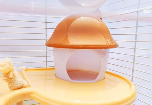 PETZHUBO Hamster Cage Small Animal Cage 2 Layers Transparent Cage Size：10.6"(W) X8.1(L) X10.6 (H) Suitable for Hamsters up to 3.5 inch in Length. in Saudi Arabia