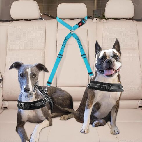 Vest Harness Retractable Pet Safety Leash Pet Elastic Traction Collar for Small and Medium Cats and Dogs in Saudi Arabia