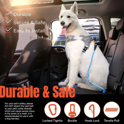 Dog Seat Belt for Car | Universal Pet Car Seatbelt with Reflective Climbing Rope, Aviation Aluminum Carabiner with 360° Swivel & Auto-Lock, Secure Safety Restraint (Trail Blue 360°) in Kuwait