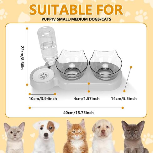 3-in-1 Cat Food and Water Bowl Set, Double Cat Bowls with Water Dispenser, Pet Food and Water Feeder for Small Medium Dogs Cats (Grey) in Kuwait